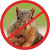 Just Play Scram, Squirrel by Slinky, Squirrel-Proof Bird Feeder Accessory that Guards Bird Seed, Kids Toys for Ages 5 Up by Just Play