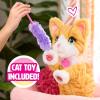 FurReal Bella The Biscuit-Making Kitty, 10 Inch Interactive Cat Toy, for Boys and Girls, Ages 4 and Up