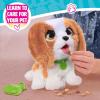 FurReal Poop-a-Lots Cavalier King Charles Spaniel, Interactive Toy, for Boys and Girls, Ages 4 and Up