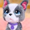FurReal Walk-A-Lots French Bulldog, 8 Inch Tall Interactive Toy Dog, for Boys and Girls, Ages 4 and Up by Just Play