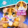 furReal My Minis Little Hugs Tiger, 4.5-inch Interactive Plush, Soft Stuffed Animal, Kids Toys for Ages 4 Up by Just Play