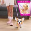 furReal Poop-A-Lots Corgi Interactive 8-inch Walking Plush Stuffed Animal, Pooping Puppy with Leash, 14-pieces, Kids Toys for Ages 4 Up by Just Play