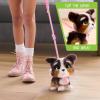 furReal Walk-A-Lots Bernedoodle Interactive Toy, 8-inch Walking Plush Puppy with Sounds, Faux Fur, Kids Toys for Ages 4 Up by Just Play