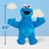 Sesame Street Friends 8-inch Cookie Monster Sustainable Plush Stuffed Animal, Kids Toys for Ages 18 Month by Just Play