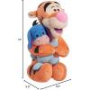 Disney Classics Lil Friends Tigger and Eeyore Plushie Stuffed Animal, Kids Toys for Ages 2 Up by Just Play