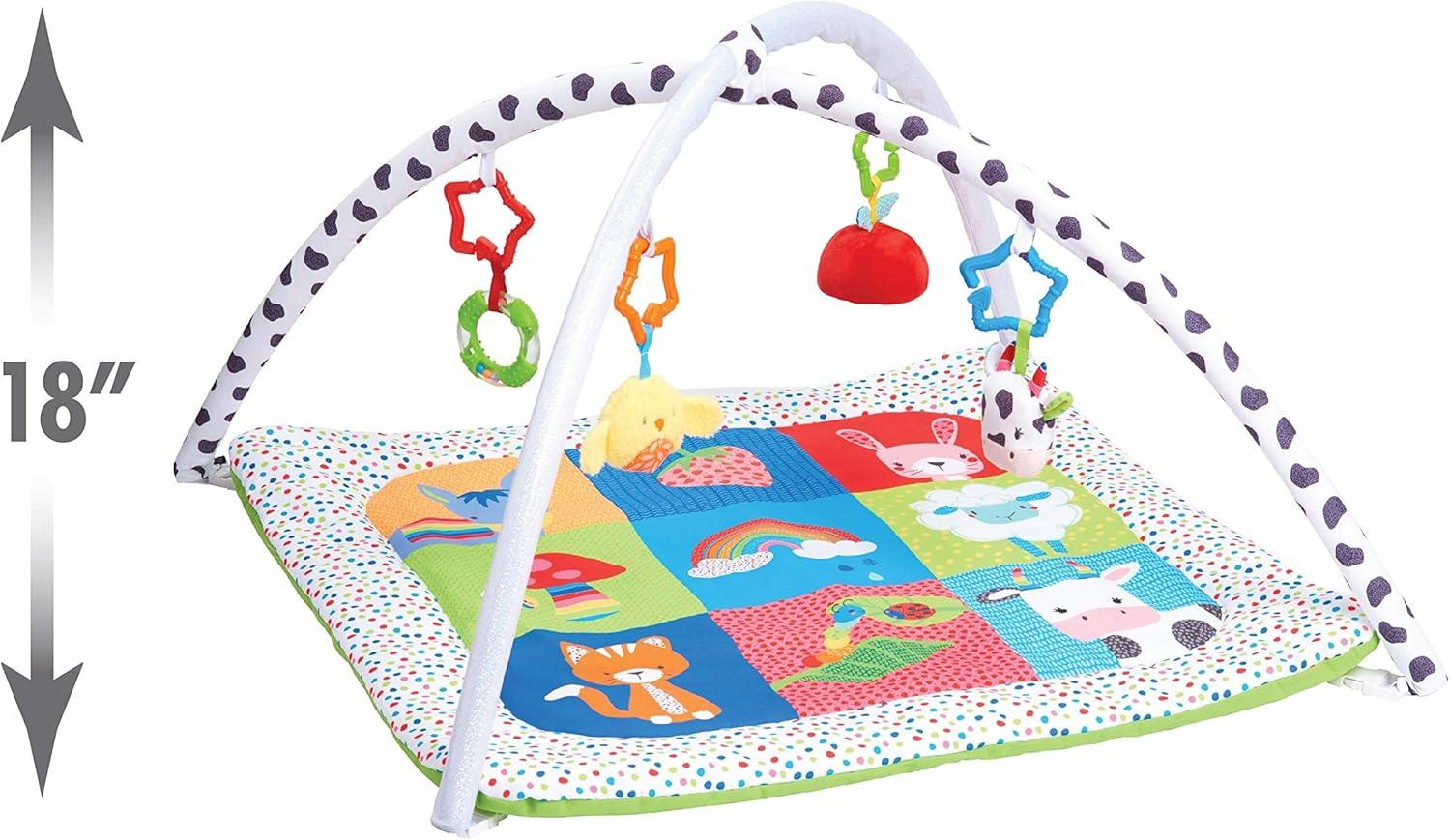 image:imageEarly Learning Centre Blossom Farm Playmat amp Arch Physical Development Hand Eye Coordination Stimulates Senses
