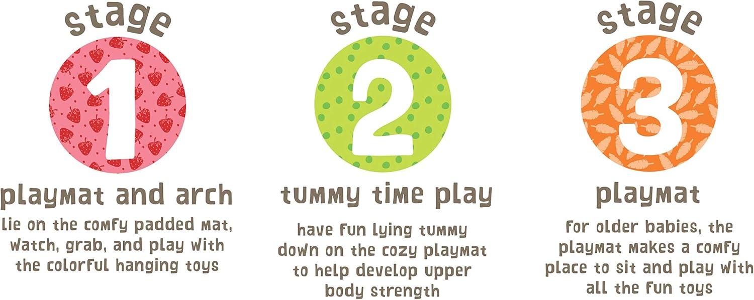 image:imageEarly Learning Centre Blossom Farm Playmat amp Arch Physical Development Hand Eye Coordination Stimulates Senses