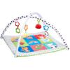 Early Learning Centre Blossom Farm Playmat & Arch, Physical Development, Hand Eye Coordination, Stimulates Senses